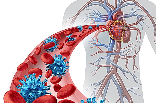 Bloodborne Pathogens